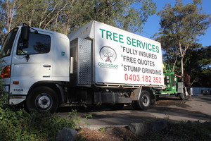 Gold Coast Stump Busters Pty Ltd Pic 3