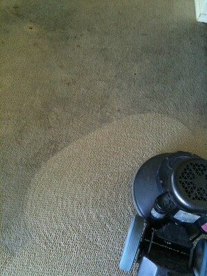 Carpet Cleaning Harristown Pic 3