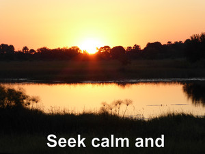 Listening Heart Counselling Services Pic 3 - Seek calm