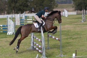 Centennial Stables Pic 3 - Peter Hoogland Coach