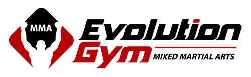 Evolution Gym Pic 1