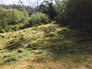 Mick Waterson Slashing and Mowing Pic 4