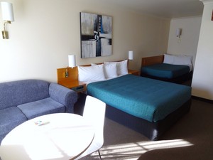 Hermitage Motor Inn Pic 5 - Executive Twin room