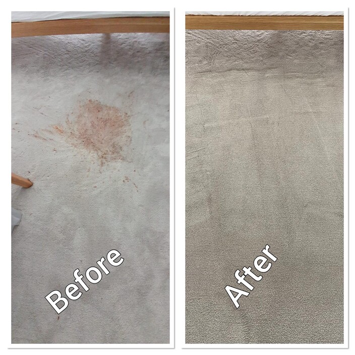 Carpet Cleaning Service Pic 1