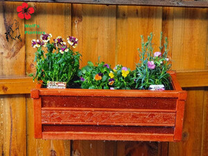 Wolf's Planters Pic 3