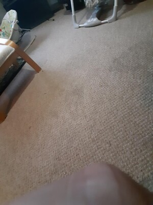 Carpet Cleaning Phillip Pic 5