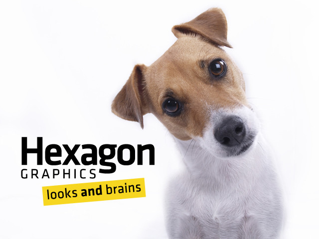 Hexagon Graphics Pic 1 - Were top dog in brand strategy sales kits direct mail advertising and anything to do with websites