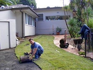 Northern Beaches Landscapes and Gardens Pic 4 - turfing for lawns