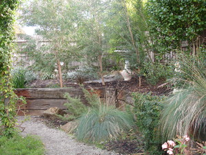 Green Glow Garden Care Pic 3 - australian native garden