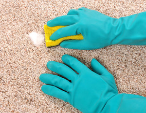 Pure Hygene Pic 3 - Carpet Cleaning