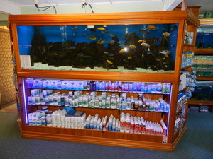 Annerley Aquarium Pic 4 - Main Display Tank