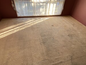 Melbourne Steam Cleaning Pic 3 - Carpet Steam Cleaning and stain removal cleaning