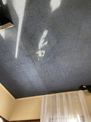 Melbourne Steam Cleaning Pic 4 - Carpet Cleaning in Dandenong end of lease