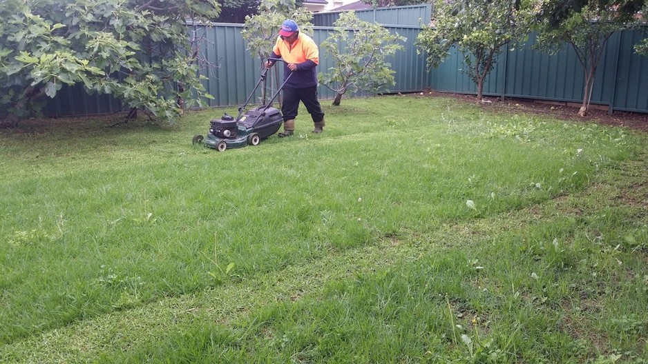 BLaK MaGiK Lawn Mowing Services Pic 1