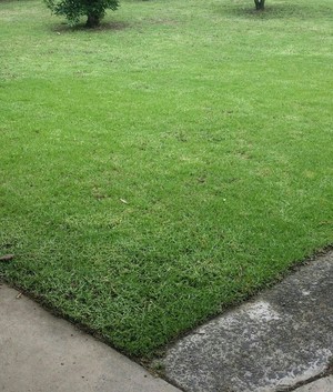 BLaK MaGiK Lawn Mowing Services Pic 2 - Straight Tidy Edging