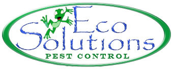 Eco Solutions Pest Control Pic 1