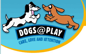 Dogs @ Play Pty Ltd Pic 1 - dogsplay dog grooming training pet products