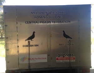 Melton Invitation Homing Club Inc. Pigeon Racing club Pic 4 - MIHCI Central Pigeon Federation 2000 Bird Race Transporter