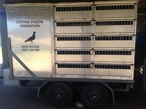 Melton Invitation Homing Club Inc. Pigeon Racing club Pic 2 - MIHCI Central Pigeon Federation 2000 Bird Race Transporter