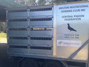 Melton Invitation Homing Club Inc. Pigeon Racing club Pic 3 - MIHCI Central Pigeon Federation 2000 Bird Race Transporter