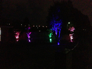 Mann Electrical Contractors Pic 5 - Gardens LED Lights