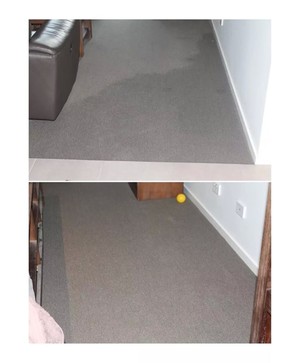 Clean As A Whistle Cleaners Pic 3 - This customer had a flood and needed water sucked from her carpets A good end result