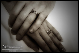 Champion Images Pic 3 - Gold Coast Wedding Photography