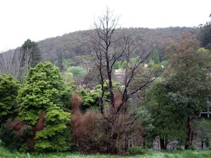 Charnwood Cottages Pic 5 - Savannas Cottage