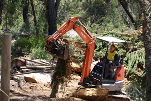 Brands Bobcat and Tipper Hire Pic 5