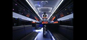 De Luxe Limo Bus Pic 2