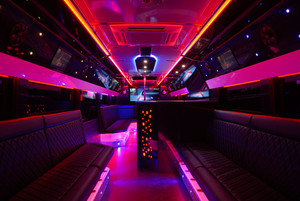 De Luxe Limo Bus Pic 3 - De Luxe Limo Bus Interior 2