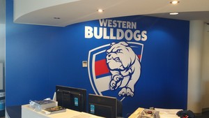 Infinite Resolution Pic 3 - Wall drops at Western Bulldogs