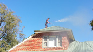 HIMALAYAS CLEANING SERVICES Pic 2 - Roof pressure cleaning by Himalayas Cleaning Professional roof cleaning services Melbourne wide