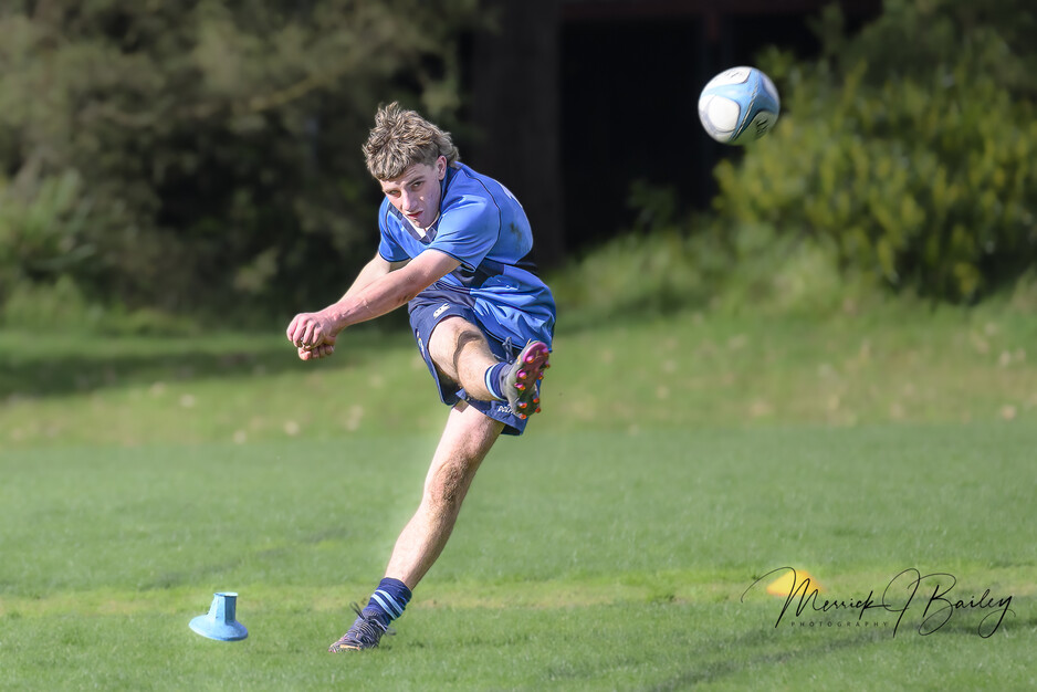 Broulee Moruya Dolphins Rugby Union Club Pic 1 - Capt Oldrey Oval 6822