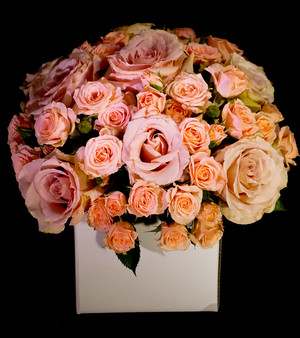 Raw Stem Pic 5 - Blushing Blushing is an oh so elegant Box Arrangement in the finest of blush pink roses and spray roses The joy of a box arrangement is that the special person you are sending to doesnt need to worry about finding a suitable container and water