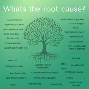 Wholistic Natural Health Pic 2 - root cause