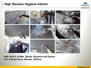 Magic Shine care Pic 5 - High Steamer Hygiene interior Mite Mold