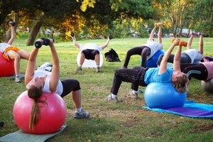 Personal Training Professionals Perth Pic 2 - Small groups or individual programs