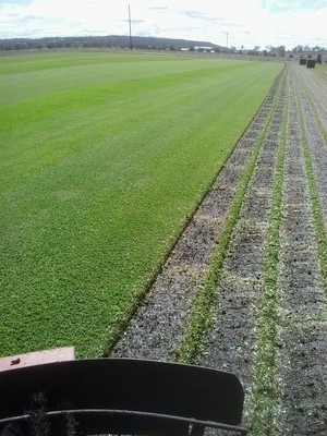 Rivendale Turf Pic 2