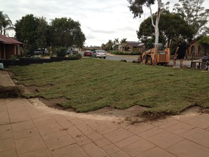 Bermo Contracting Pic 3 - turfing