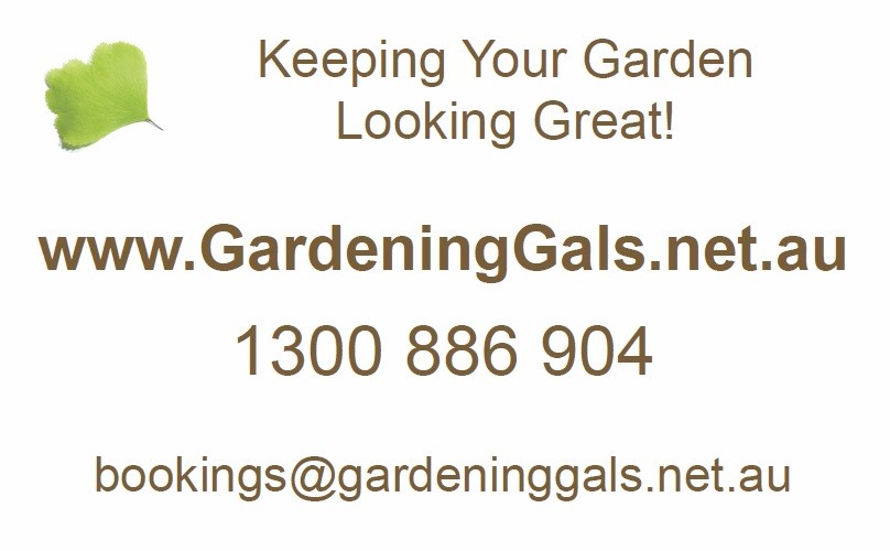 Gardening Gals Pic 1