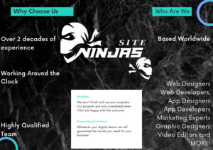 Site Ninjas Digital Design and Marketing Pic 5