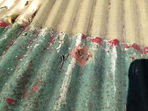 Wise Eye Inspections Pic 3 - You Couldnt see this rusted roof iron from the ground DID YOU HAVE A LOOK We Did Give us a Call