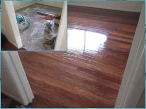 Brisbane Polishing Professionals Pic 2