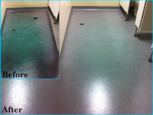 Brisbane Polishing Professionals Pic 3