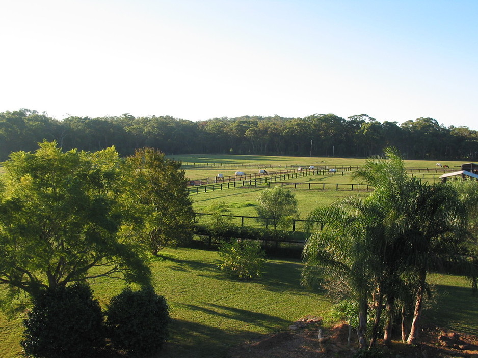 Karingal Equestrian Centre Pic 1