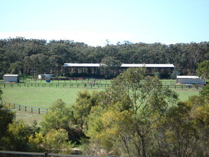 Karingal Equestrian Centre Pic 3