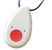 First Call Pic 2 - Additional or replacement pendant for 53