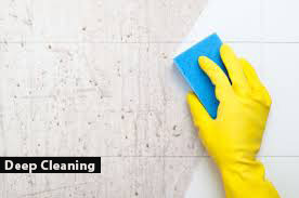 ANZ Cleaning Residential and Commercial Services Pic 1 - PROFESSIONAL SPOT CLEANING SERVICES