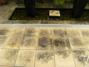 Andy's Concrete Cleaning Pic 4 - Pavers Before